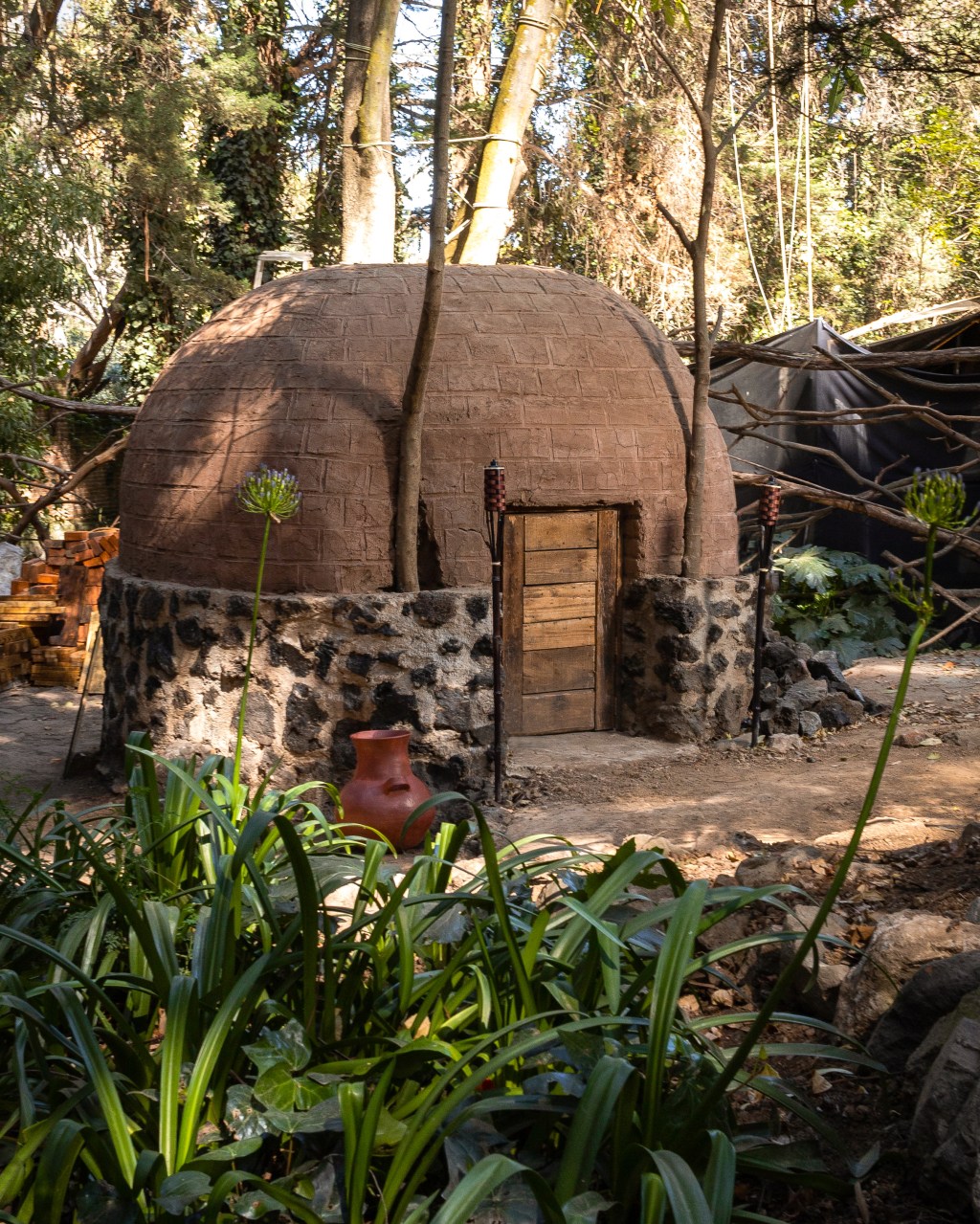 🌿 Bienvenido al Centro Multicultural&nbsp;Mindfulness